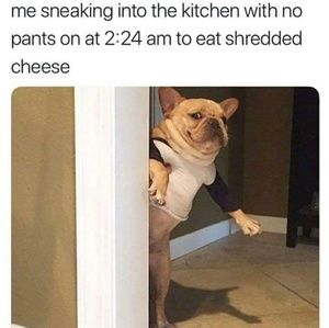 DON'T BE SHY! BUNDLE IT!